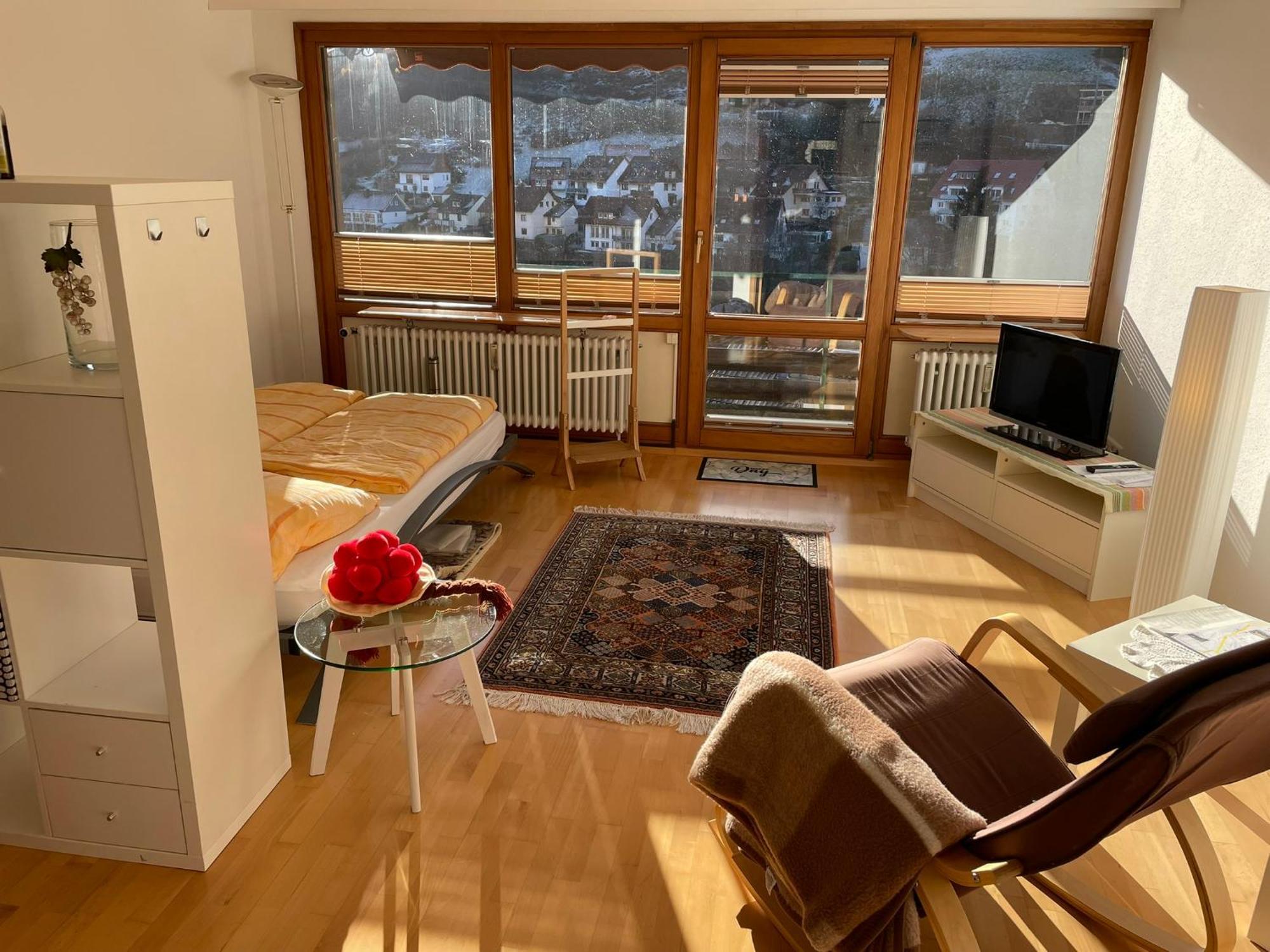 Steiert Panorama Apartments 托特瑙 外观 照片