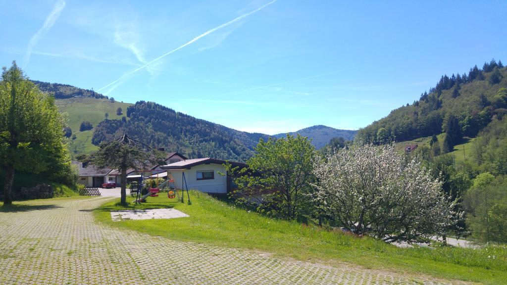 Steiert Panorama Apartments 托特瑙 外观 照片