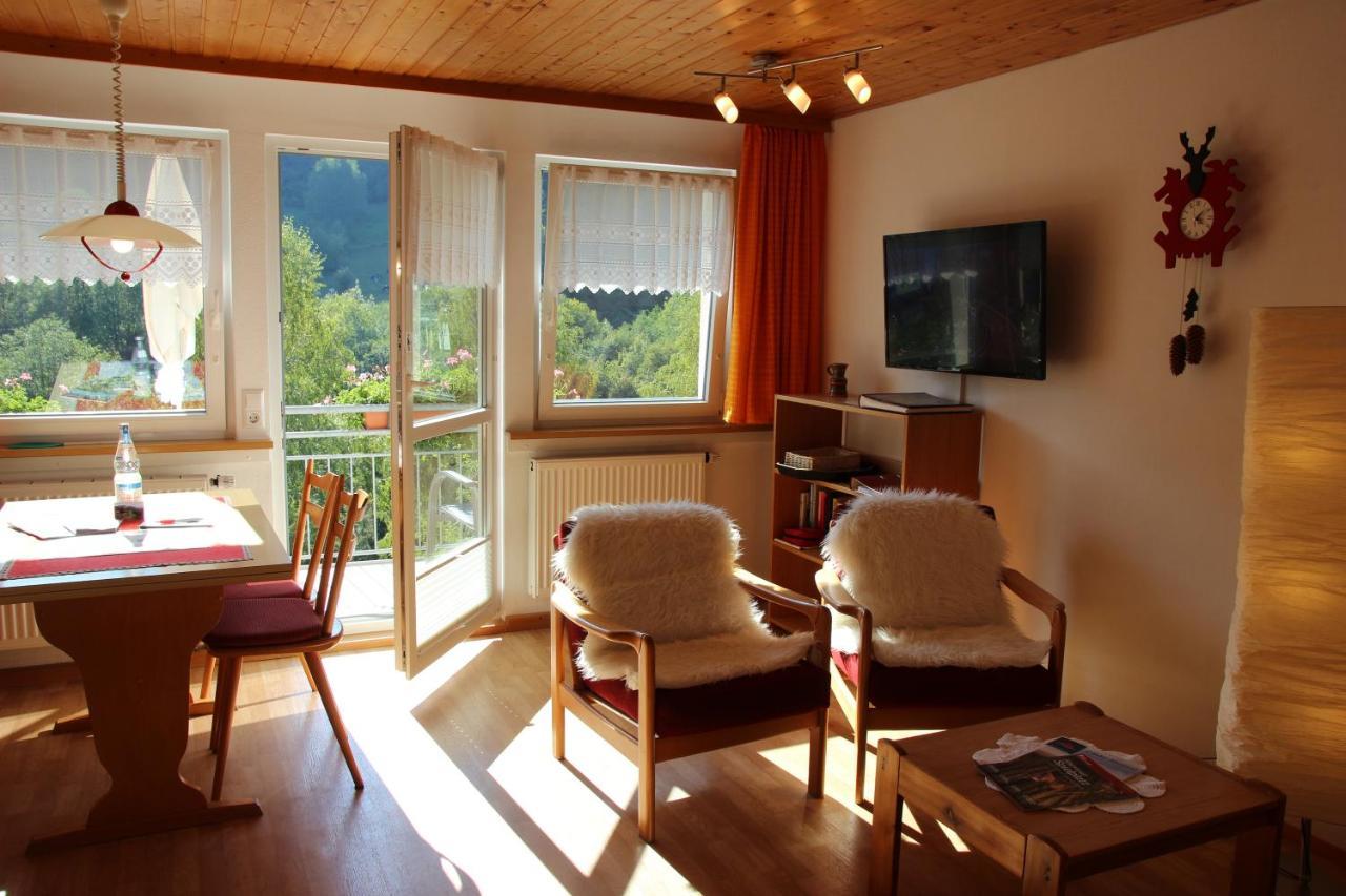 Steiert Panorama Apartments 托特瑙 外观 照片