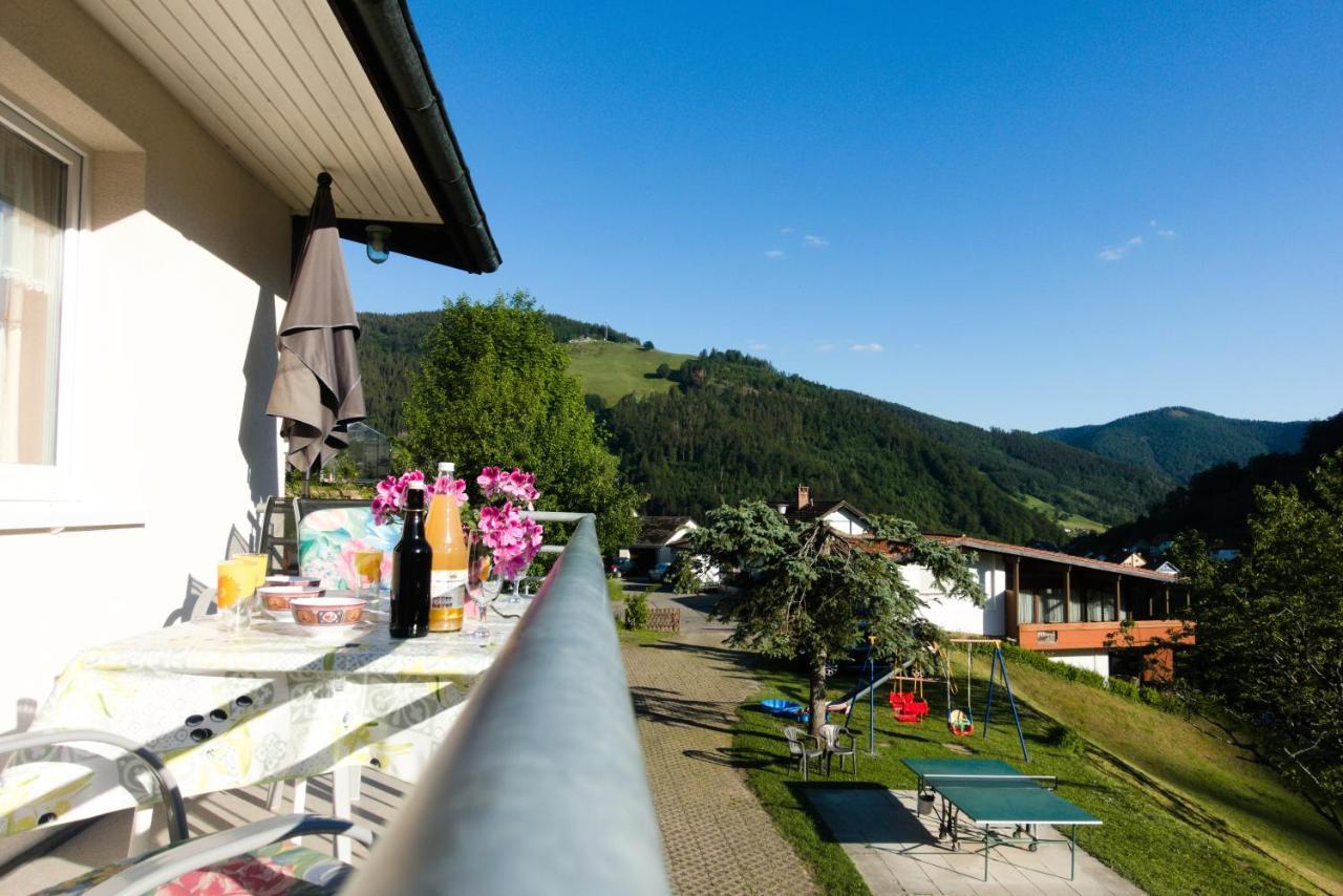 Steiert Panorama Apartments 托特瑙 外观 照片