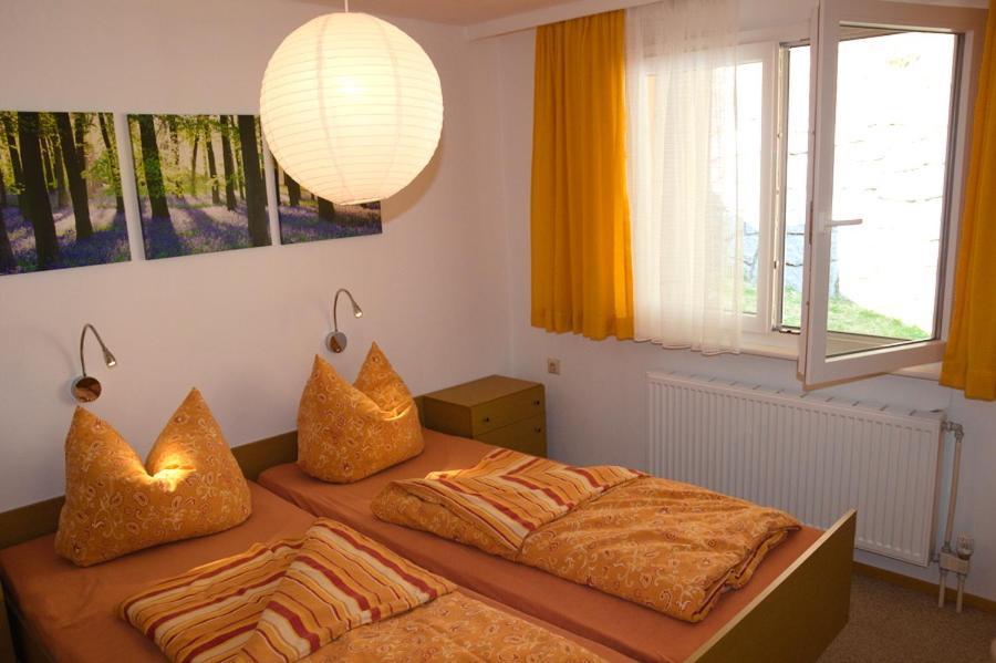 Steiert Panorama Apartments 托特瑙 外观 照片